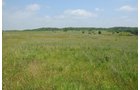 Property photo 38 - 1,025 Acres in 24 Tracts - Exellent Recreation Opportunity - Potential Building Sites - 11 Lakes & Ponds